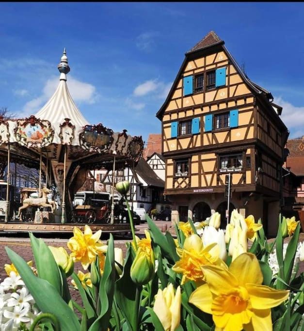 L'Appar'T - Centre historique de Obernai Apartment in Grand Est