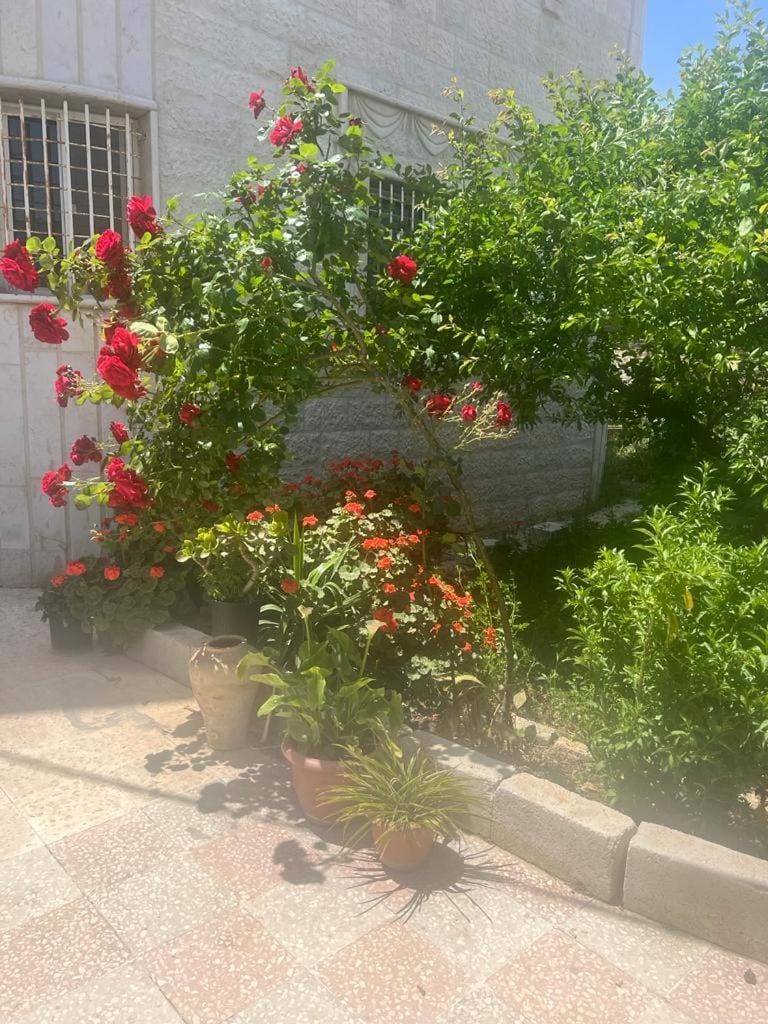 Garden, Garden view