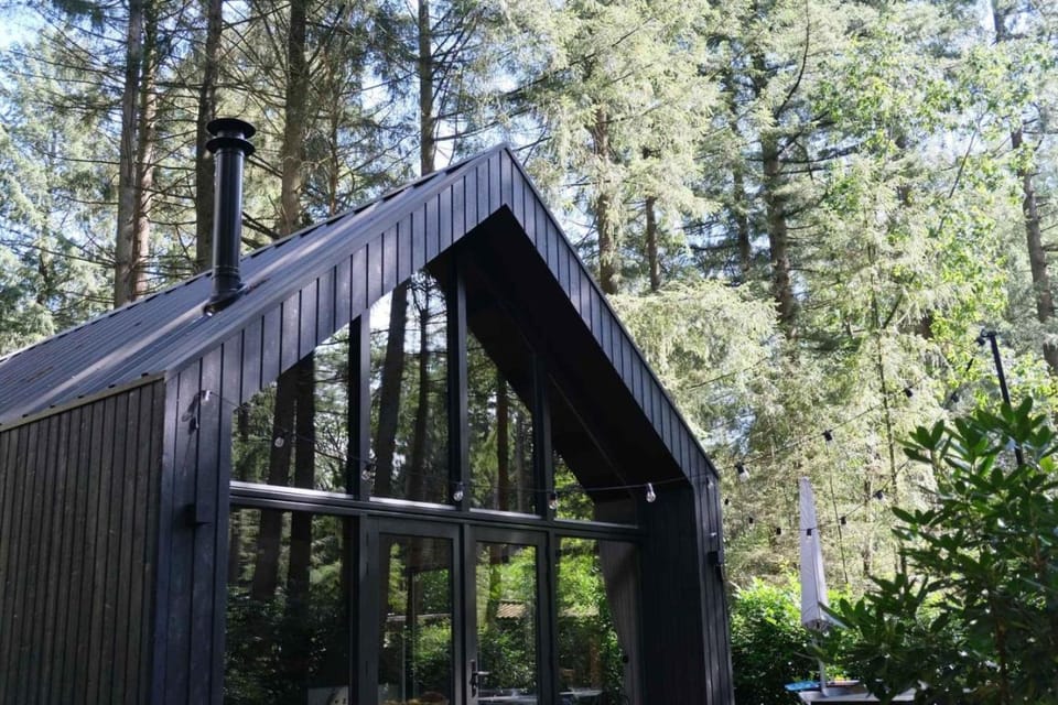 Fantastisch luxe boshuis I Onthaasten in de natuur House in Flevoland, Netherlands
