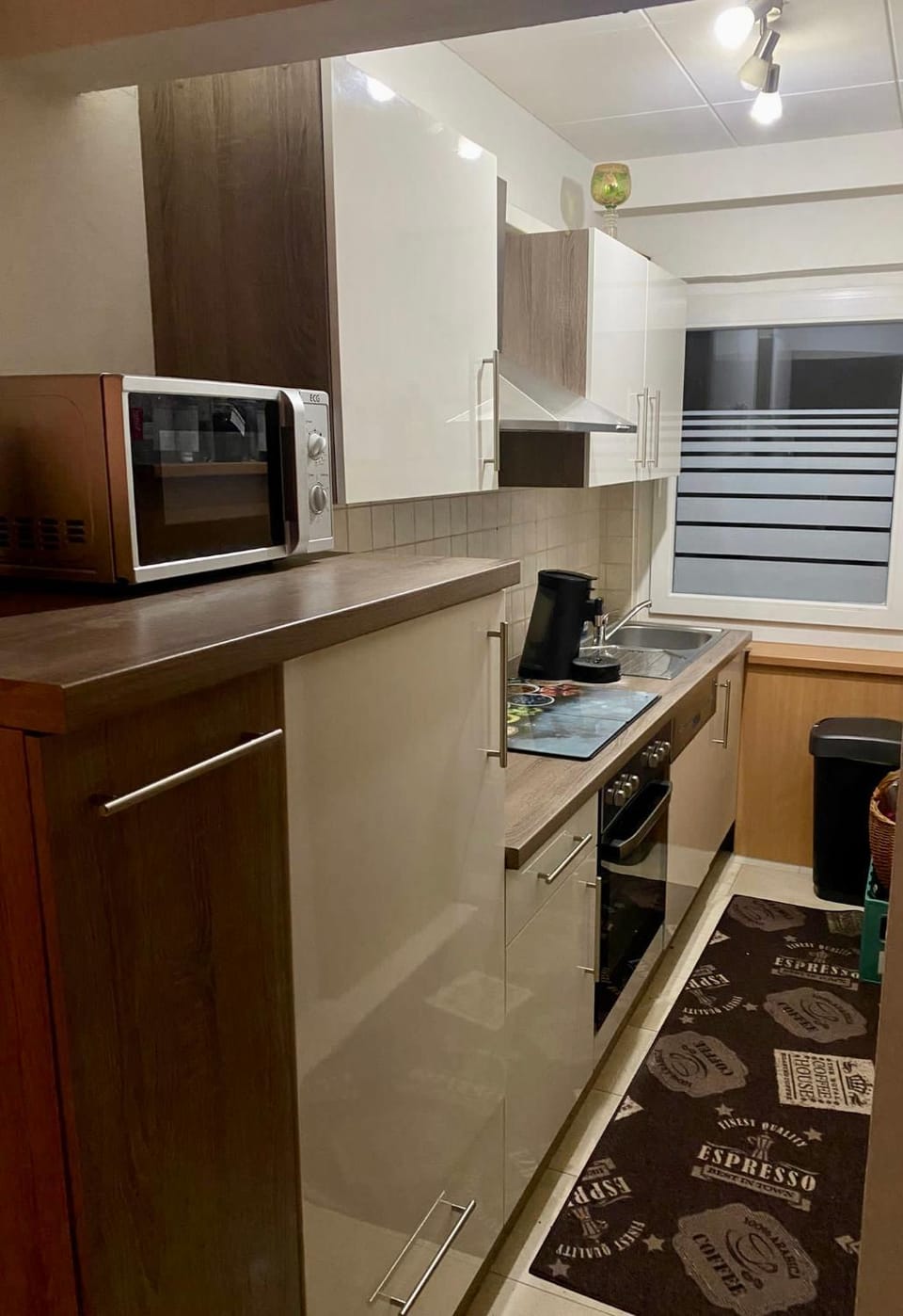 Kitchen or kitchenette, dishwasher, minibar, pet friendly, stove