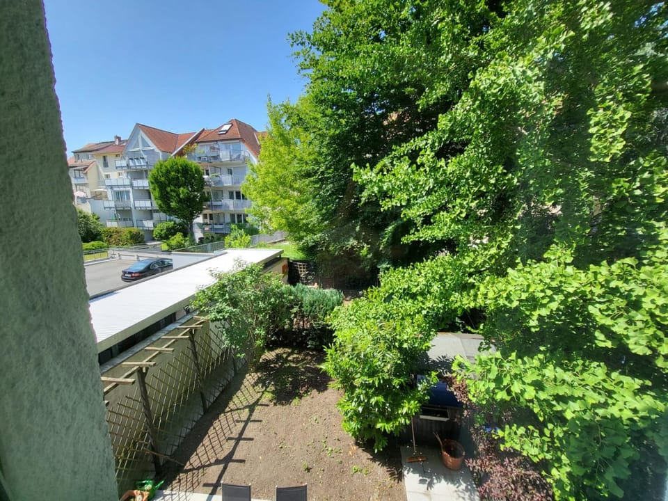 Day, Garden, Inner courtyard view