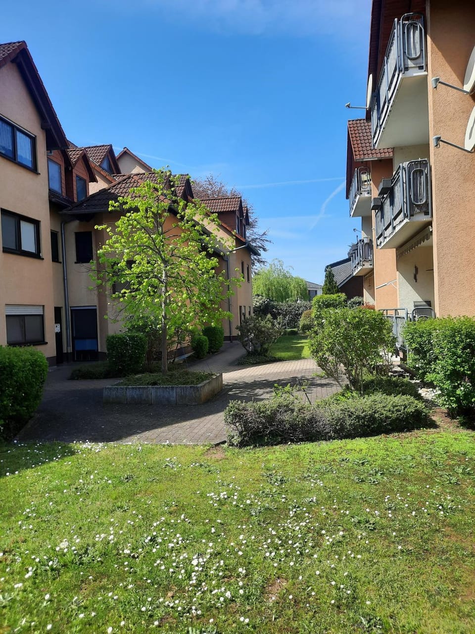 Patio, Inner courtyard view, Inner courtyard view
