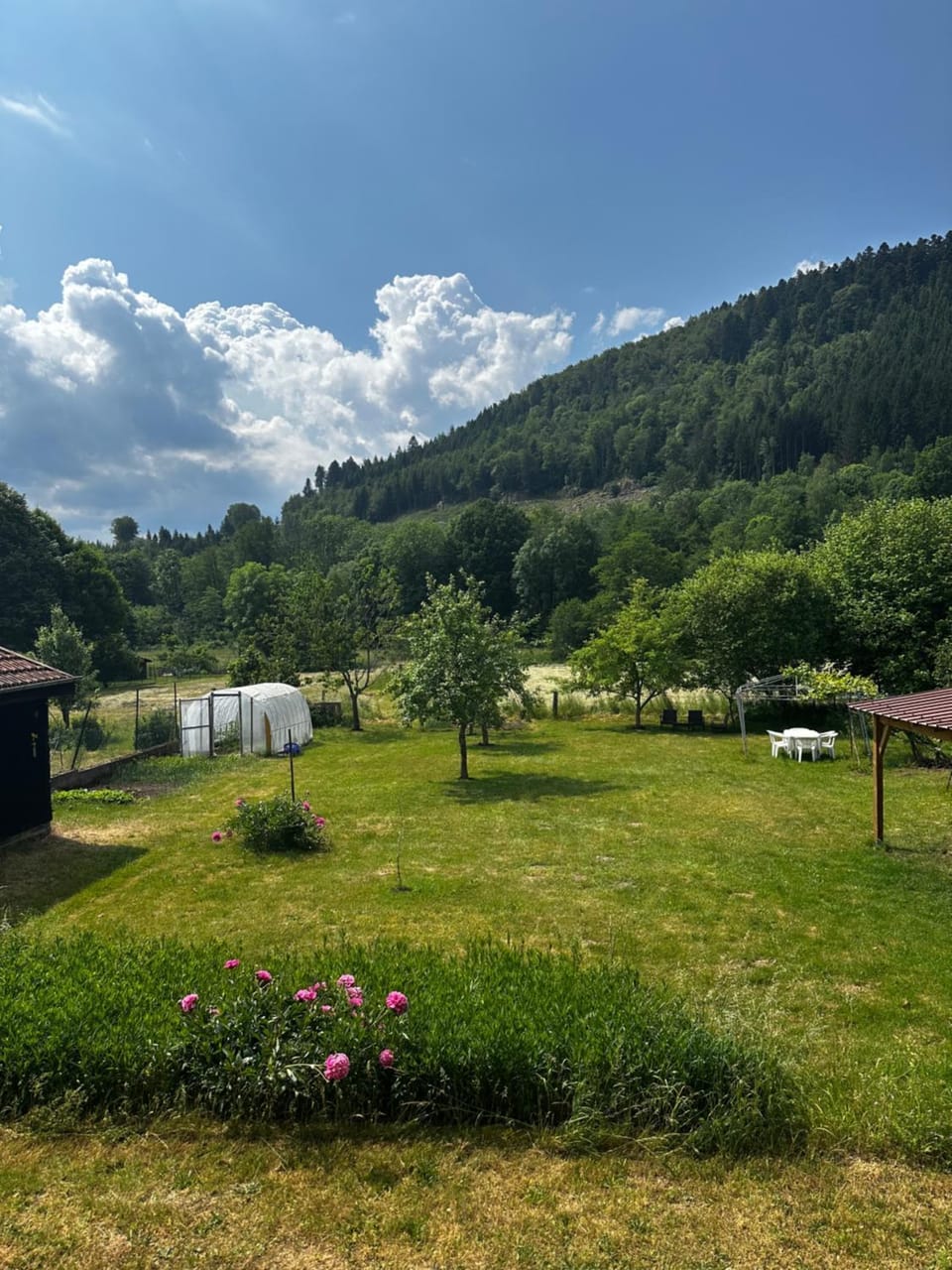 Day, Natural landscape, Garden, Garden view, Mountain view