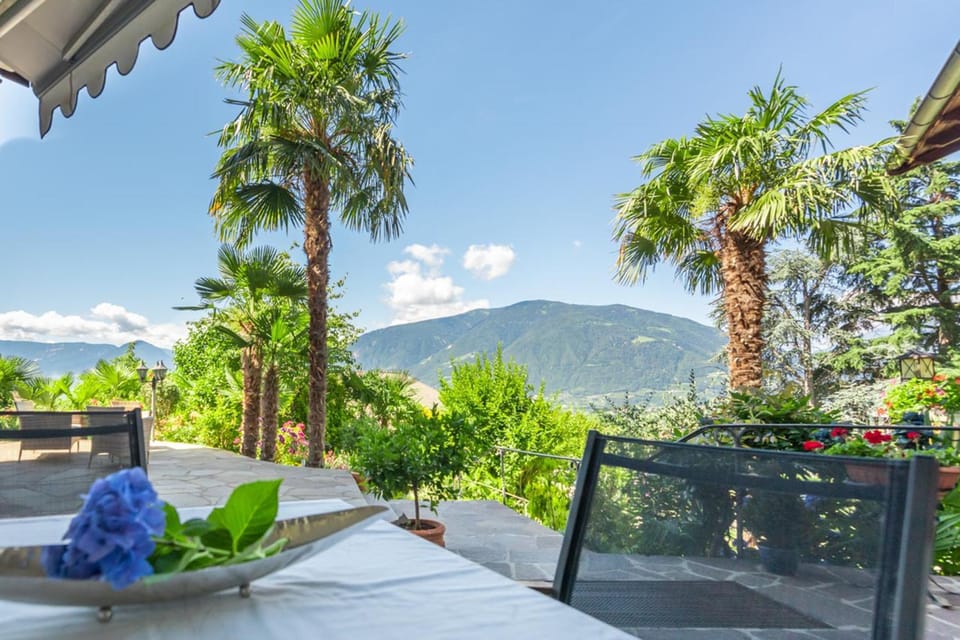 Garden, Mountain view