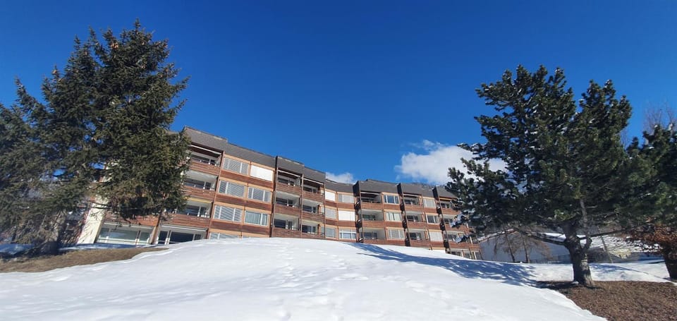 Property building, Winter