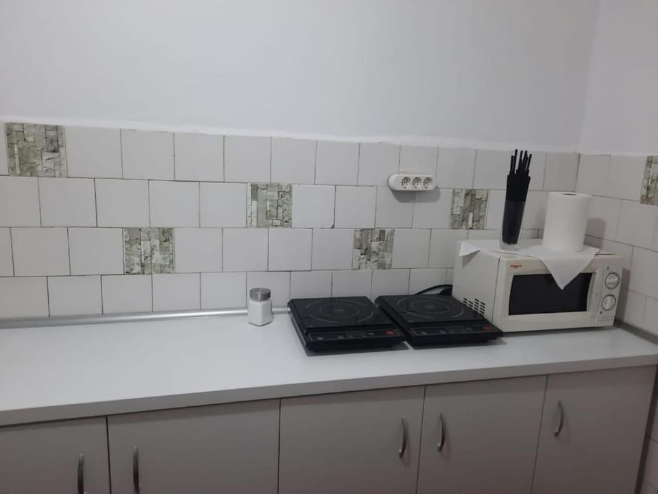 Vila Viorica Bed and Breakfast in Romania