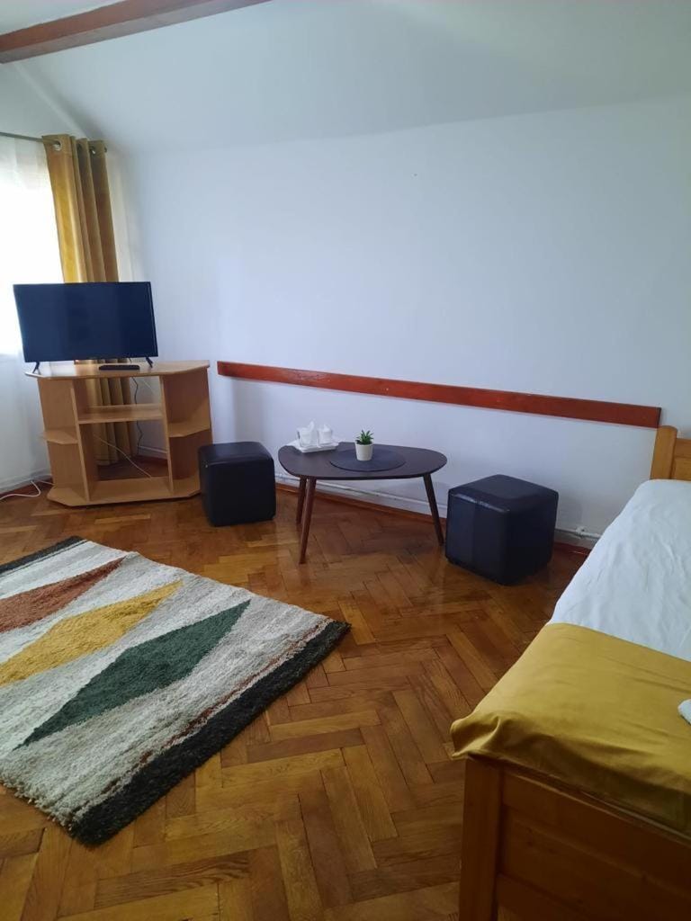 Vila Viorica Bed and Breakfast in Romania