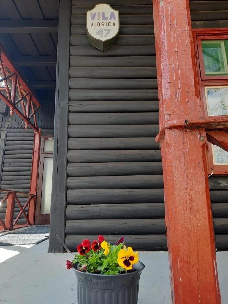Vila Viorica Bed and Breakfast in Romania