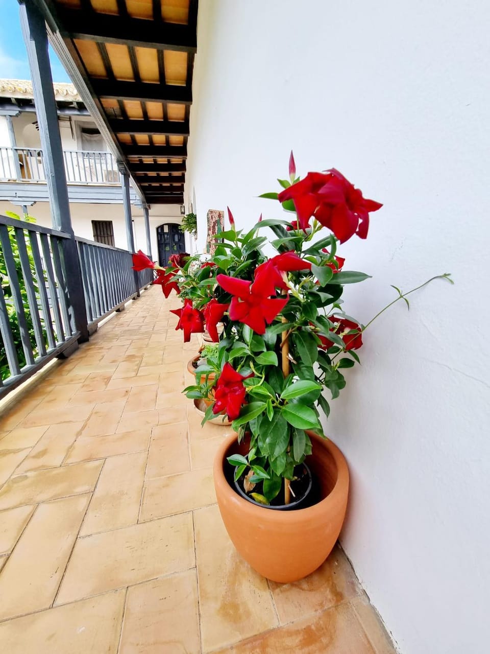 Apartamento con Patio Sevillano Apartment in Seville