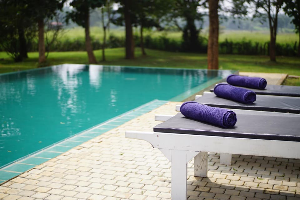 Swimming pool, Swimming pool