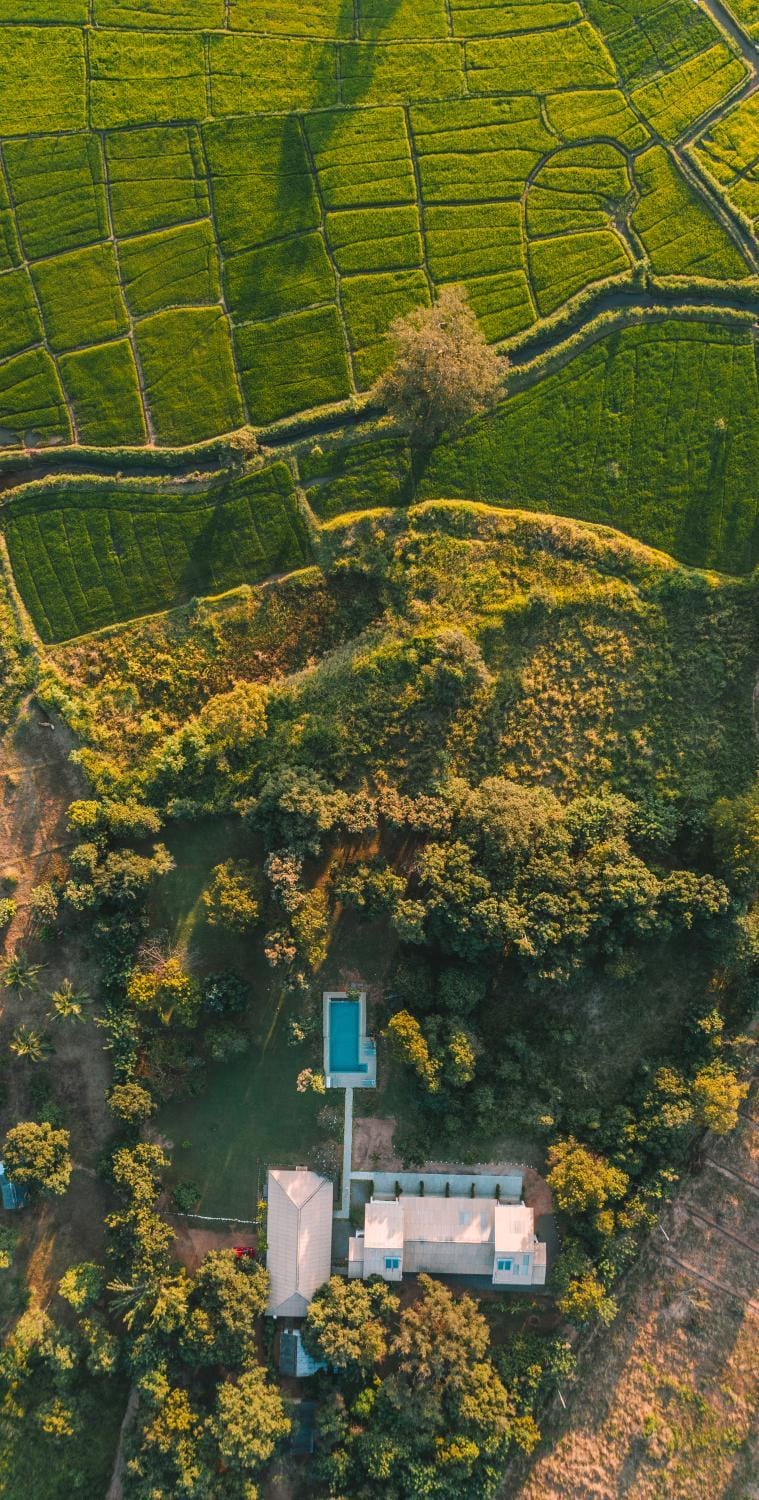 Bird's eye view, Garden view