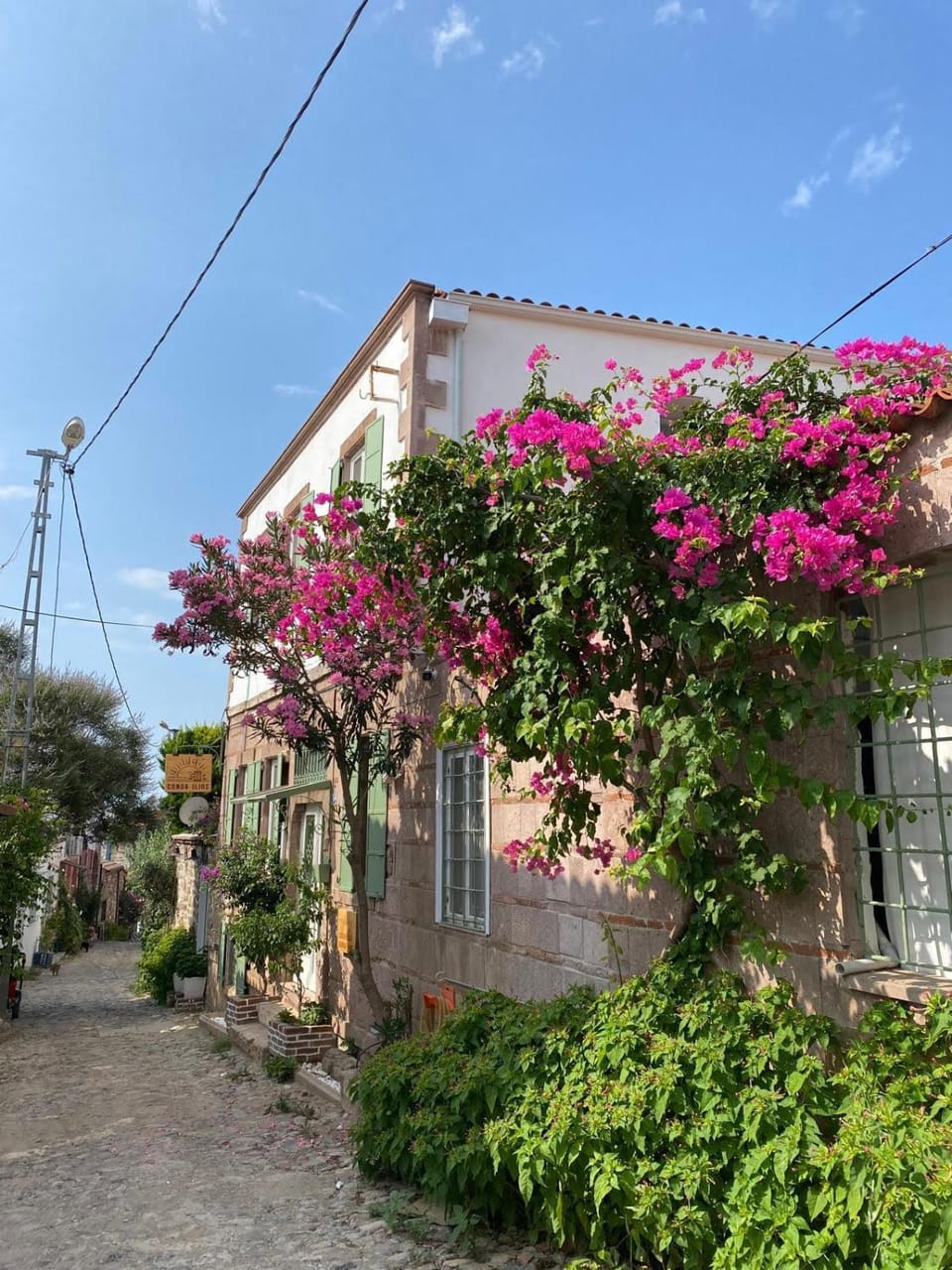 Property building, Spring, Day, Garden