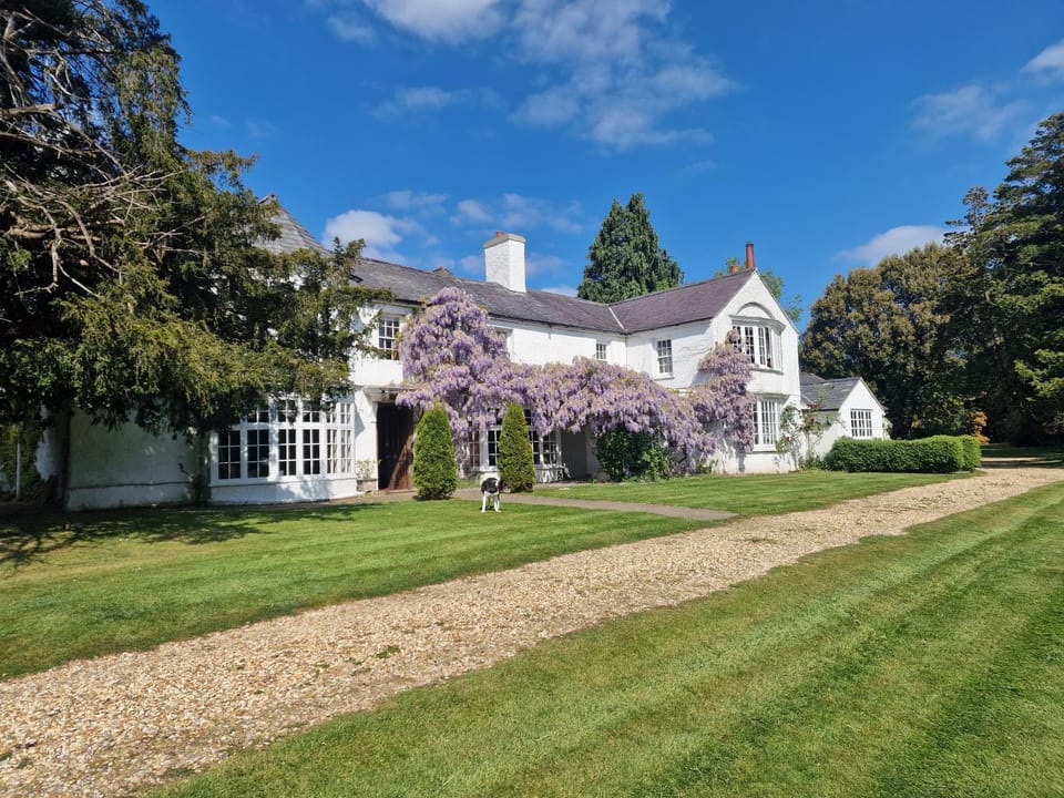 Property building, Garden, Garden view