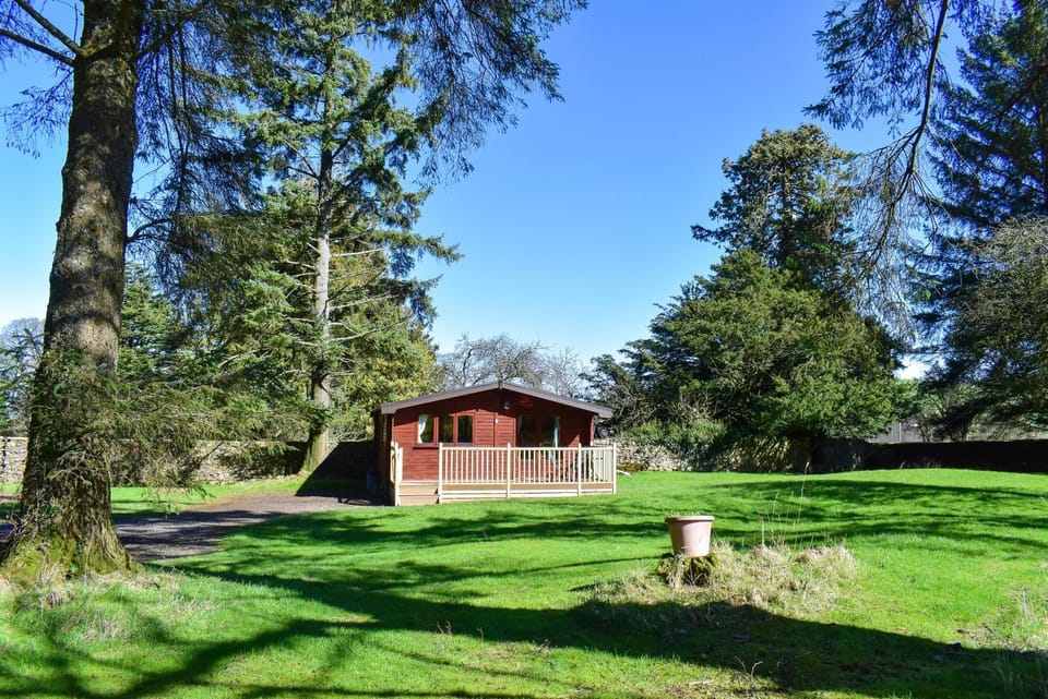 Secluded Pine Lodge 2 Apartment in Allerdale District