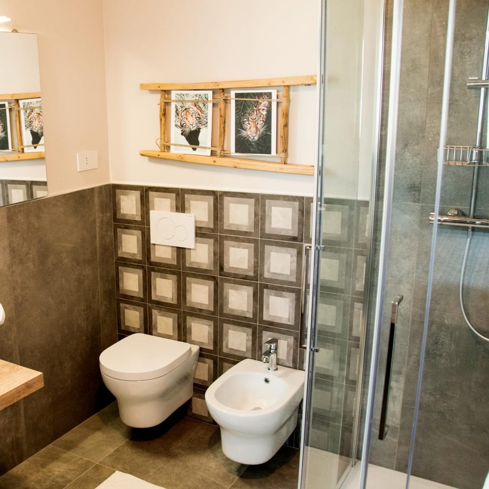Shower, Toilet, Bathroom, bidet