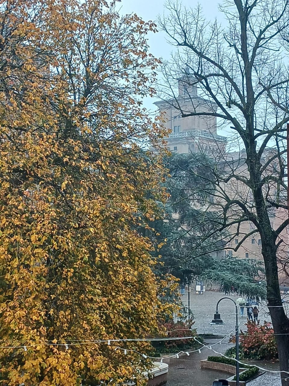 Nearby landmark