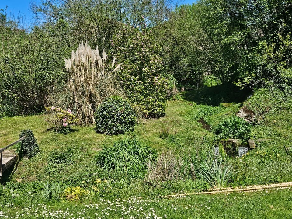 Le moulin de Meslon Bed and Breakfast in Centre-Val de Loire