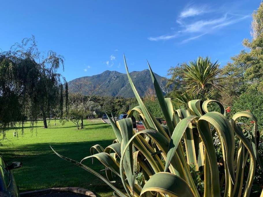 Garden, Garden, Mountain view