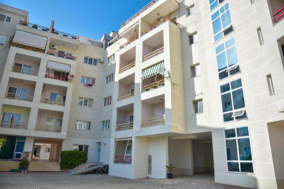 Property building, Day