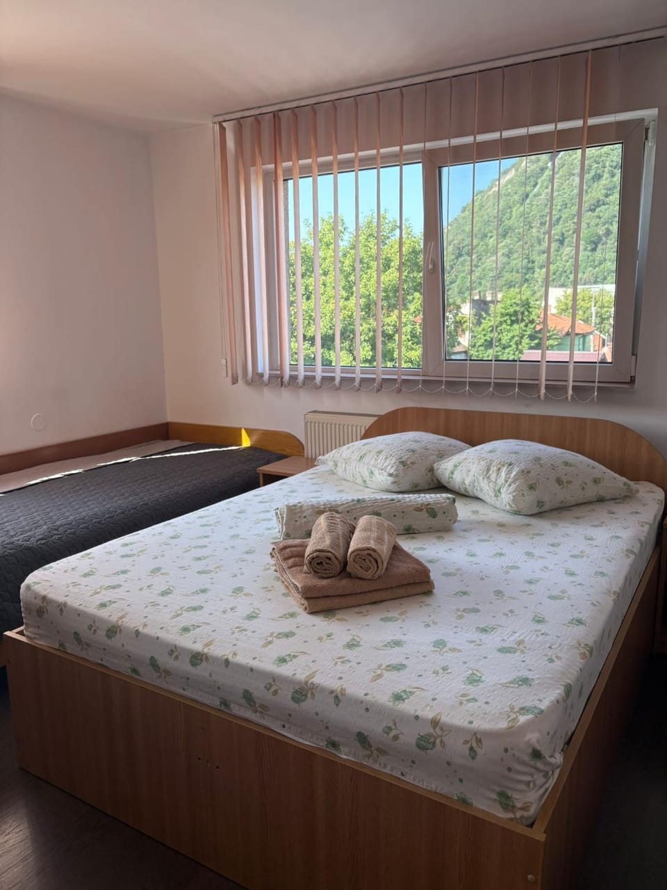 Pensiunea Floare de Colt Bed and Breakfast in Romania
