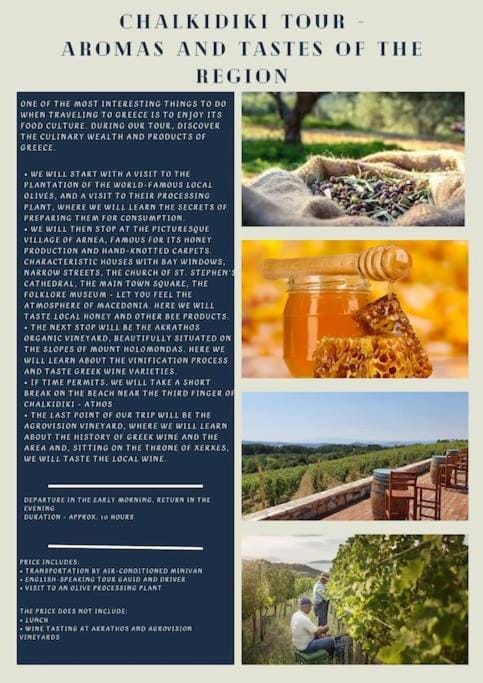 ΠΕΤΡΙΝΗ ΚΑΤΟΙΚΙΑ ΣΤΗΝ ΦΥΣΗ House in Halkidiki