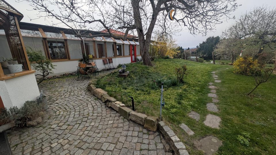 Garden view
