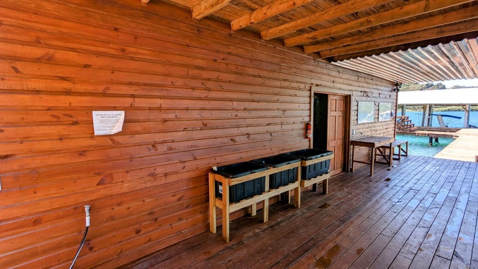 Snorkeling, Snorkeling, Balcony/Terrace, Diving, Diving, microwave