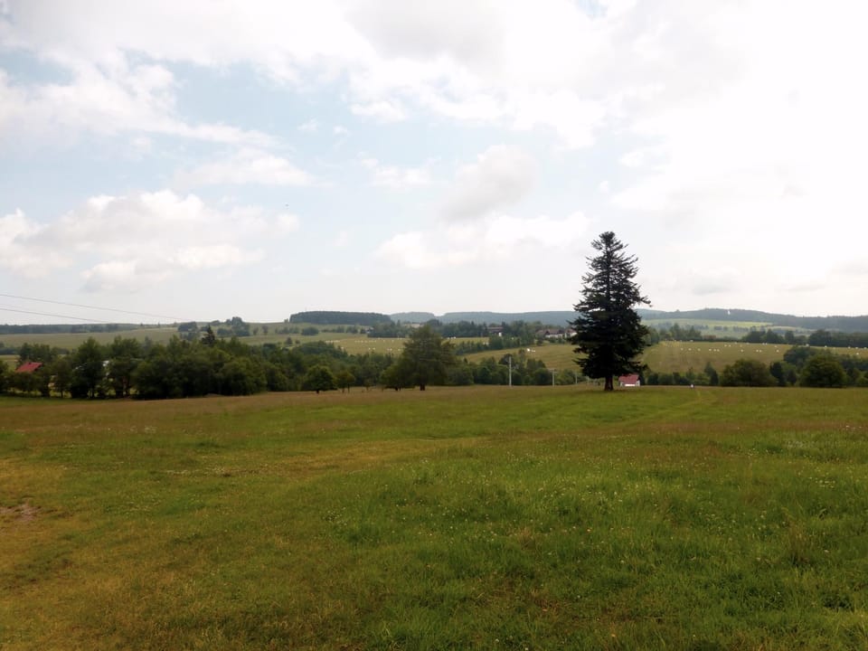 Natural landscape