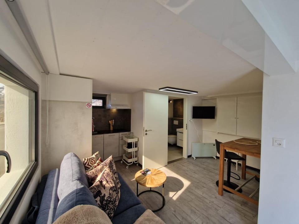 Bella & Flocon & Carnotzet Private Pool & Spa Min 1 Week Apartment in Sion