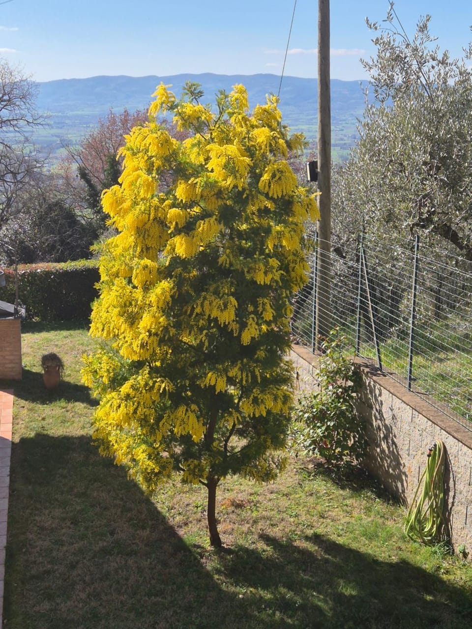 Villa Bigio Bed and Breakfast in Assisi