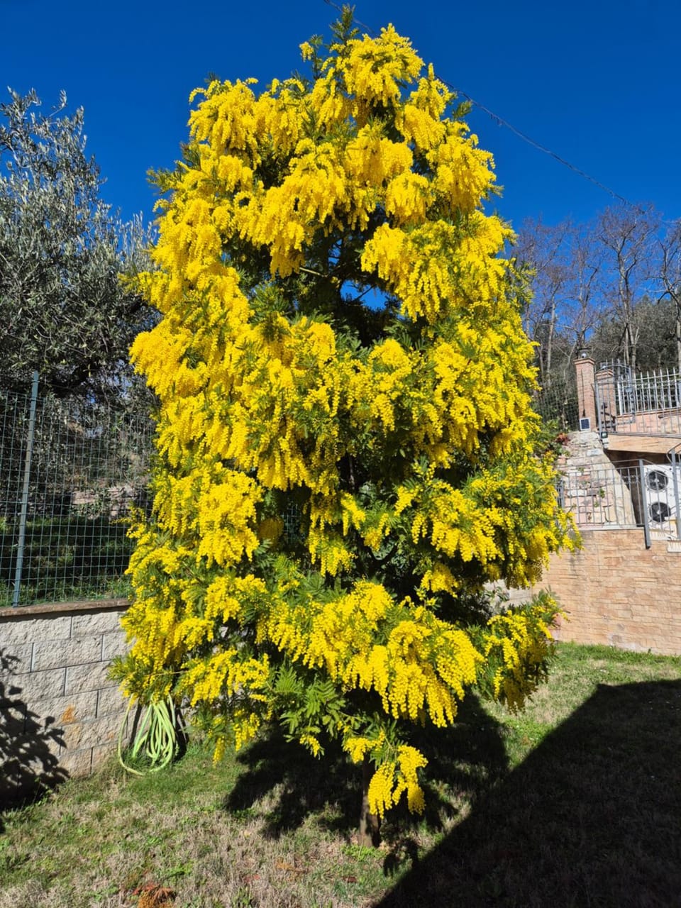Villa Bigio Bed and Breakfast in Assisi