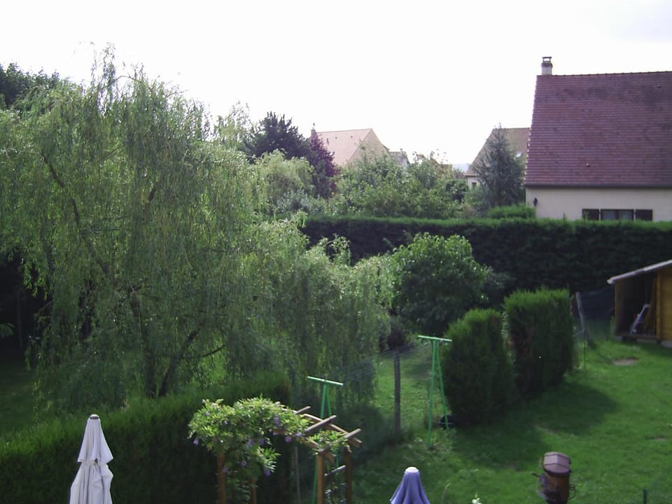 Natural landscape