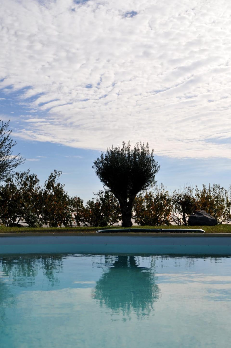 Day, Natural landscape, Pool view, Swimming pool, Swimming pool