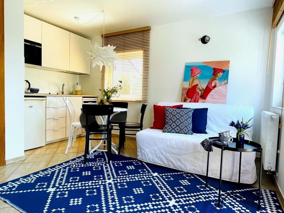 Bed, Kitchen or kitchenette, Living room, Photo of the whole room, Seating area, Dining area, minibar, stove, toaster