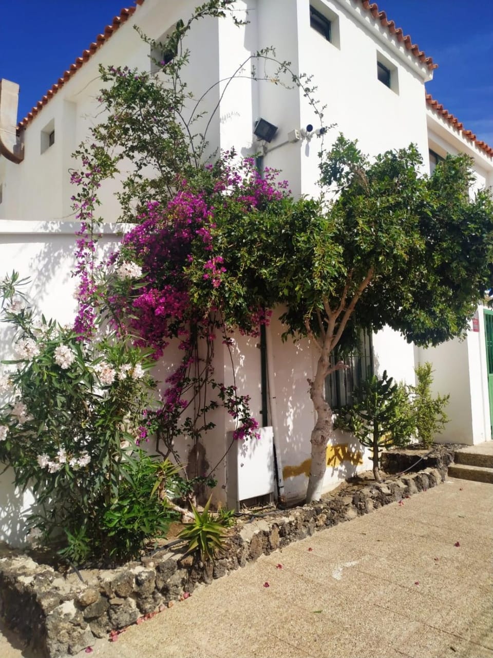 Casa Daila Apartment in Maxorata