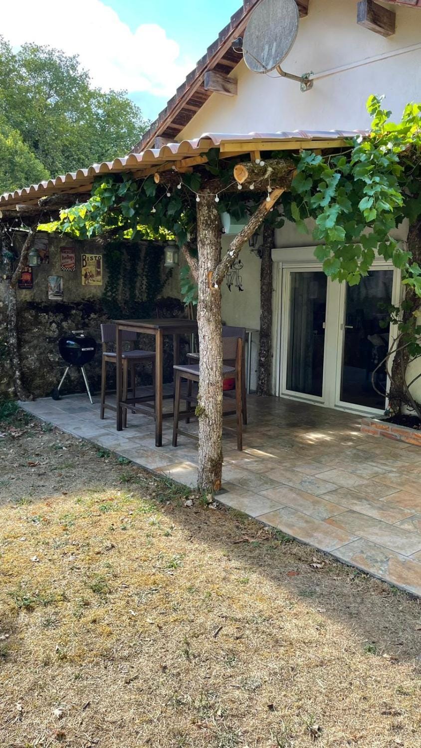Patio, Garden