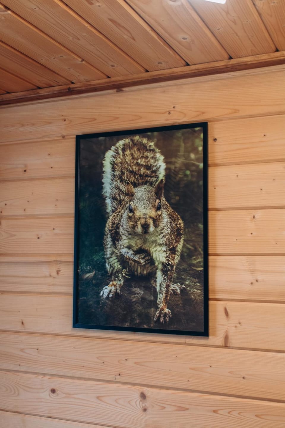 Forest hugs котедж Славсько з джакузі Apartment in Lviv Oblast