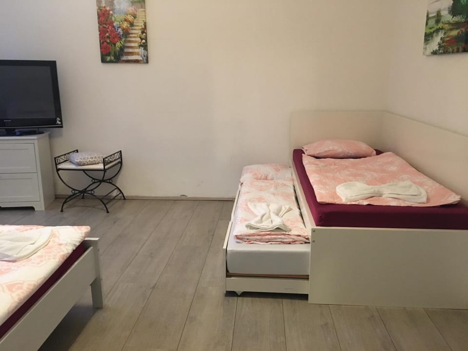 Hájovna Svahová Apartment in Erzgebirgskreis