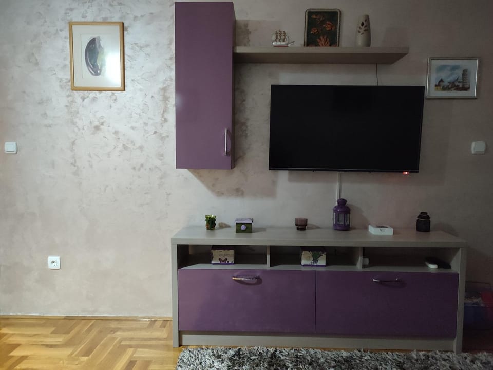 TV and multimedia