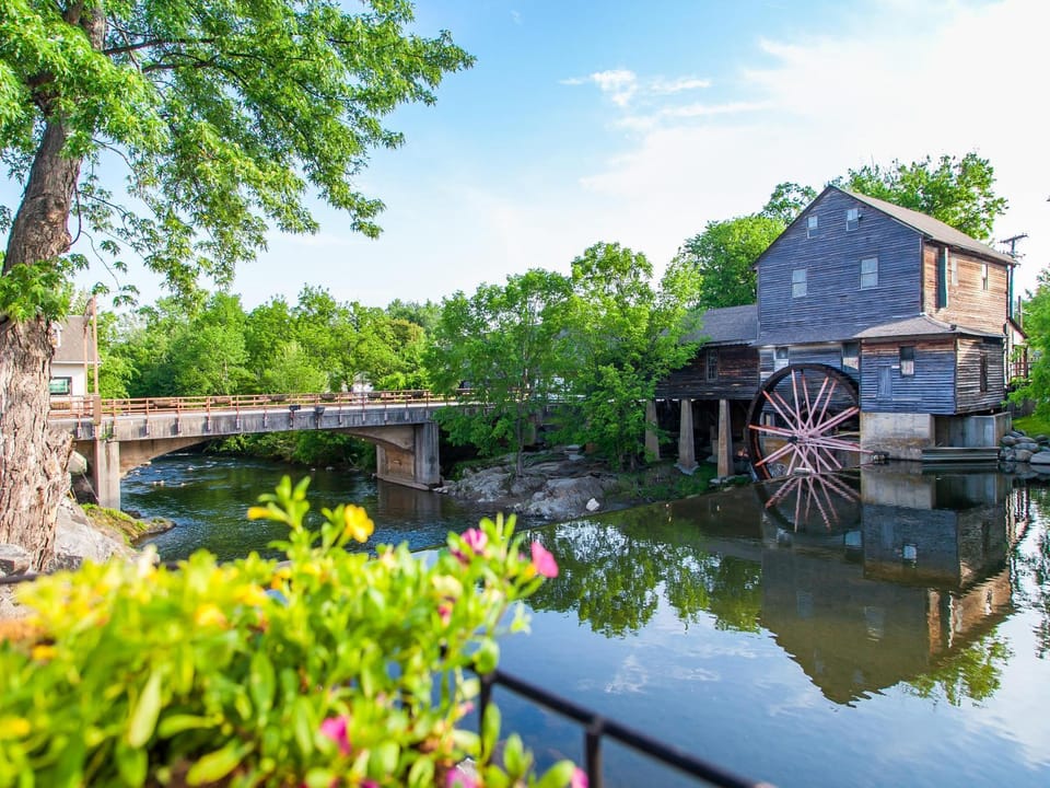 Nearby landmark, Neighbourhood, Natural landscape, Garden, River view