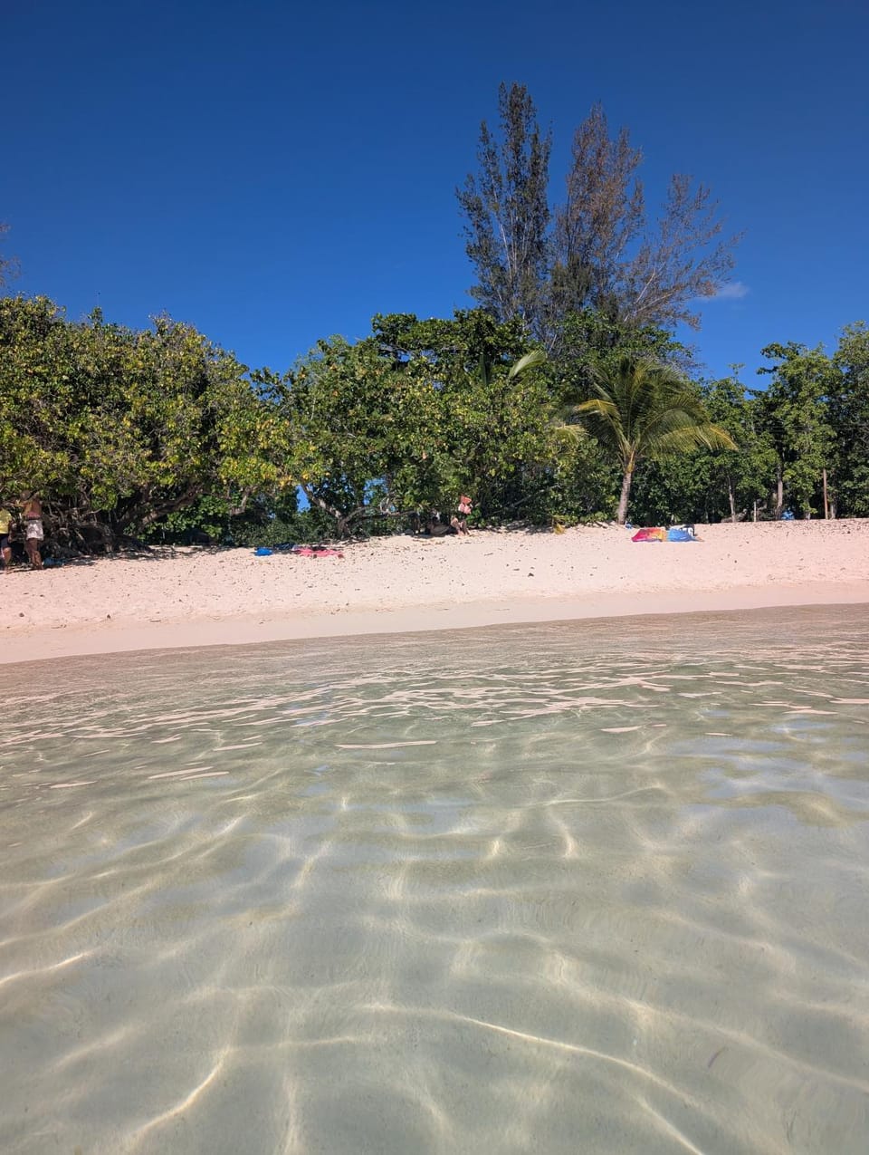 Bluehibiscus Apartment in Grande-Terre, Guadeloupe