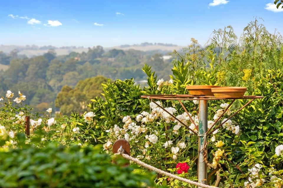 Spring, Natural landscape, Garden, Garden view