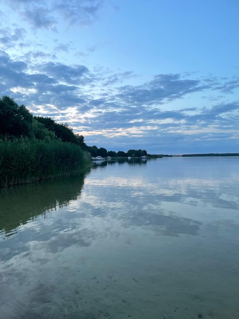 Natural landscape