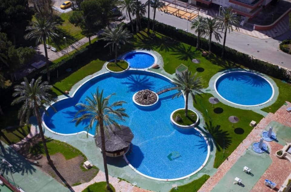 Day, Bird's eye view, Garden, Swimming pool, sunbed