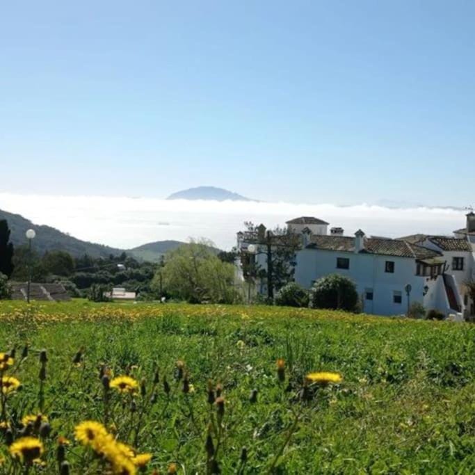 Natural landscape, Garden, Mountain view