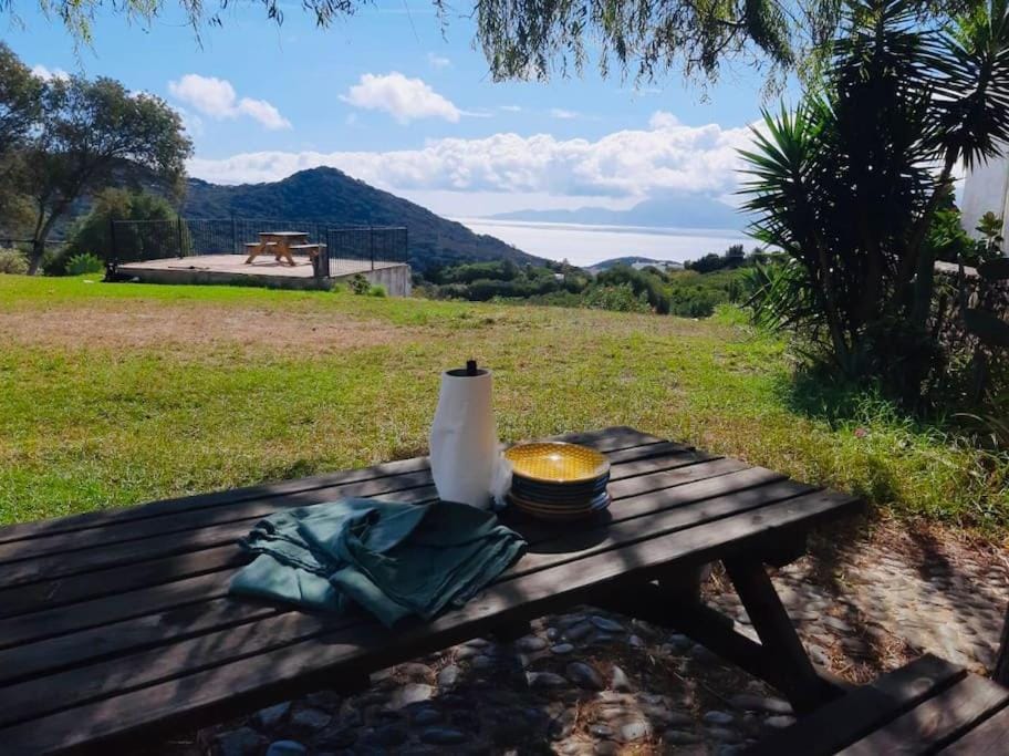 Natural landscape, Garden, Mountain view