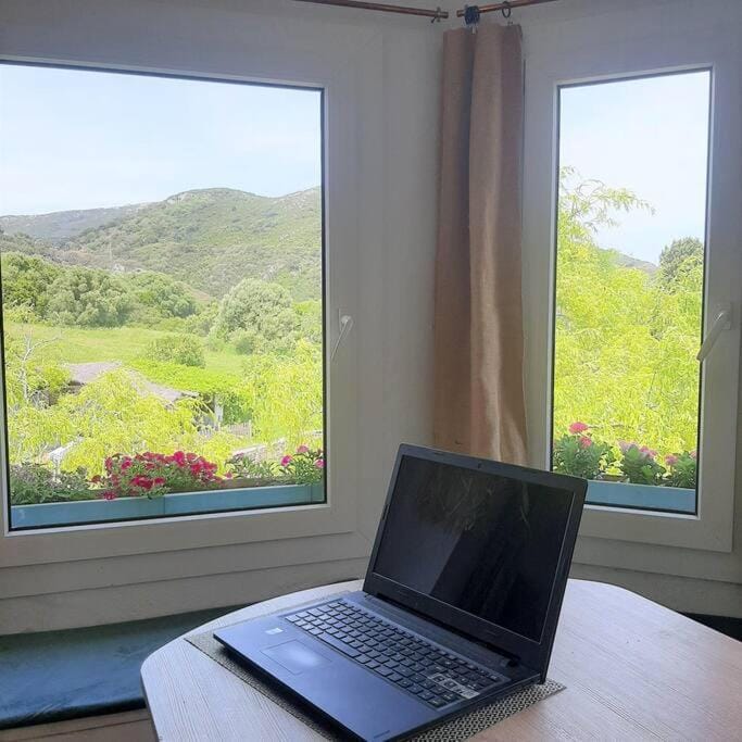 Garden view