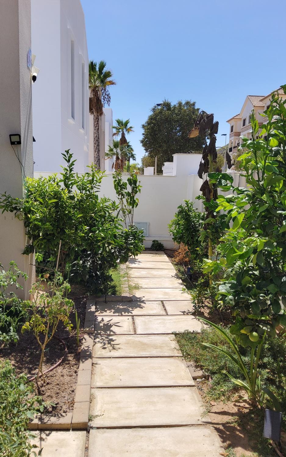 Villa Marjal Villa in Vega Baja del Segura