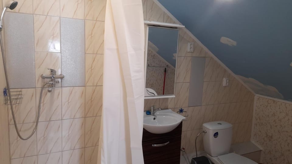 Pas Vytauta Apartment in Lithuania