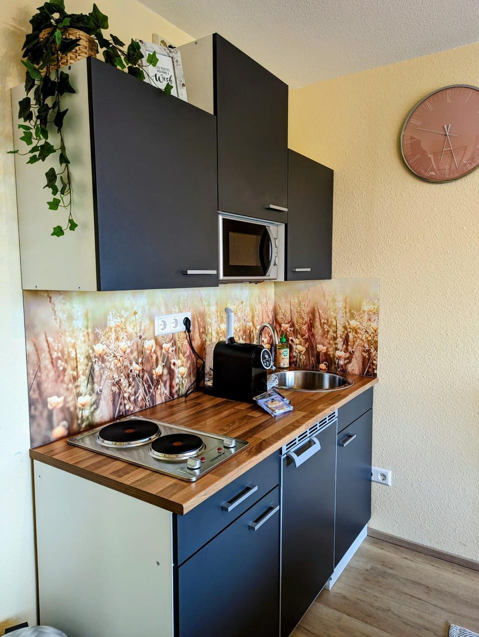 Schmuckstück im Allgäu Apartment in Vorarlberg, Austria